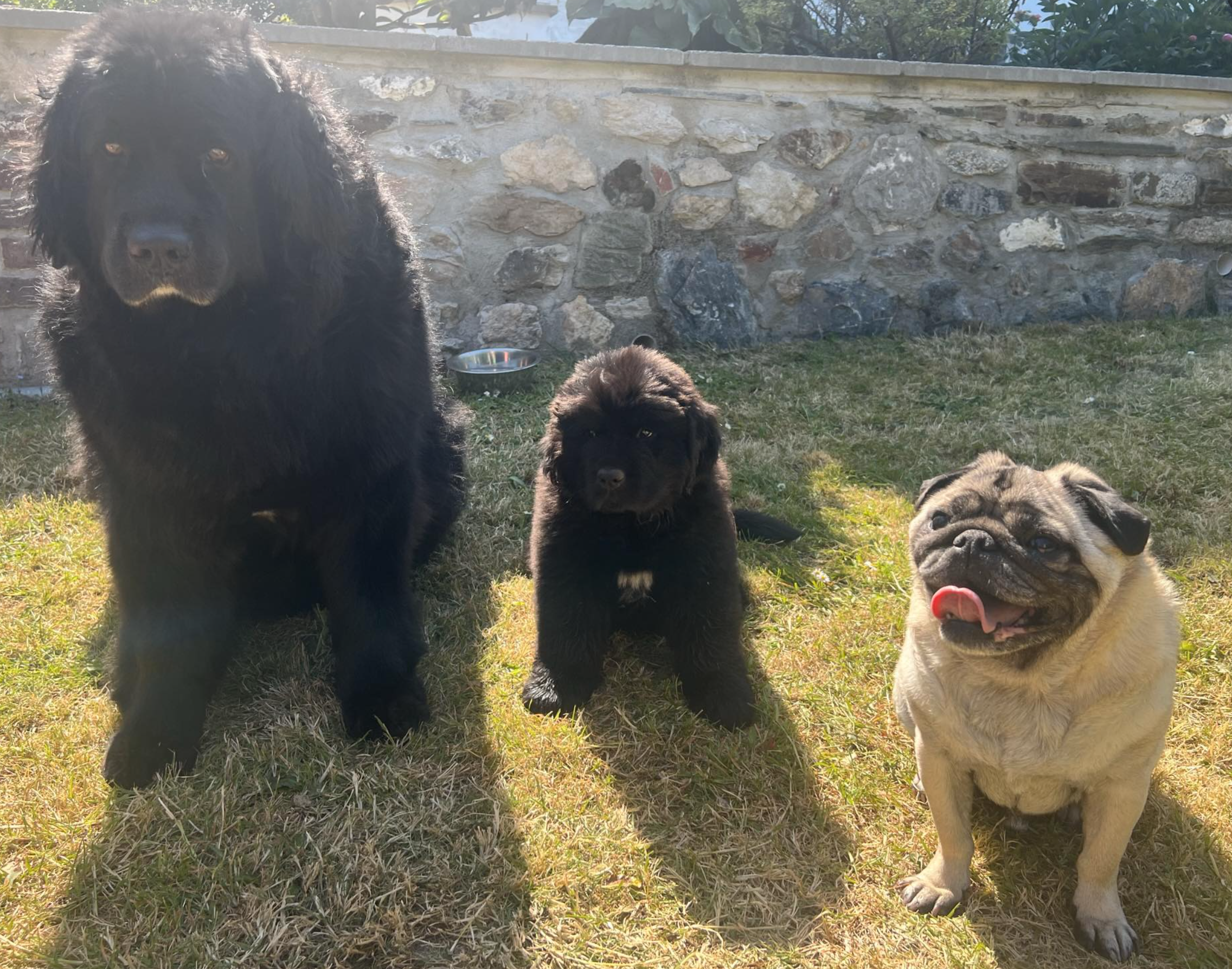 Bear, Hermes & Honey